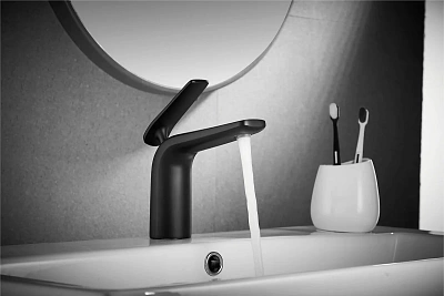 Смеситель д/раковины ROSE черный R3901H